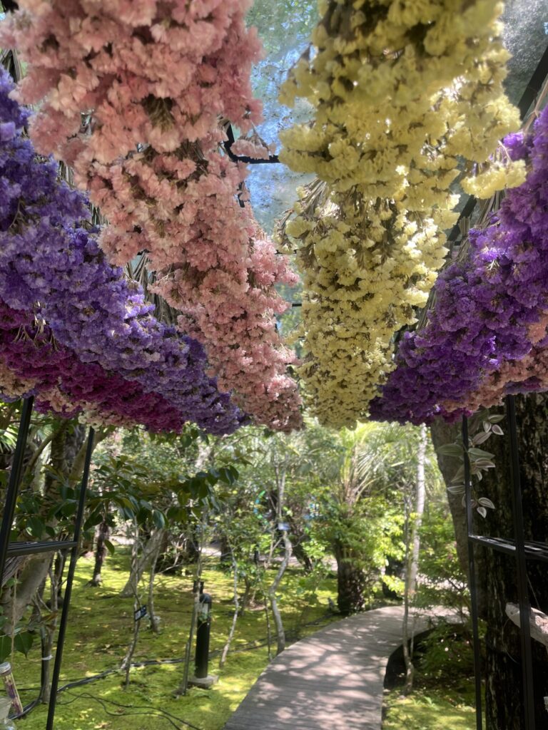 頂上の展望台エリアで出会った静かな景色サムエルコッキング苑の画像です