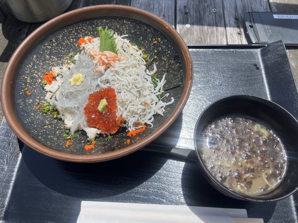 江ノ島でひとり外食してみた|不安障害の私が選んだお店と気持ちの揺れ釜揚げシラスと生シラスのどんぶりの画像です